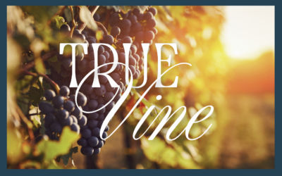 TRUE VINE