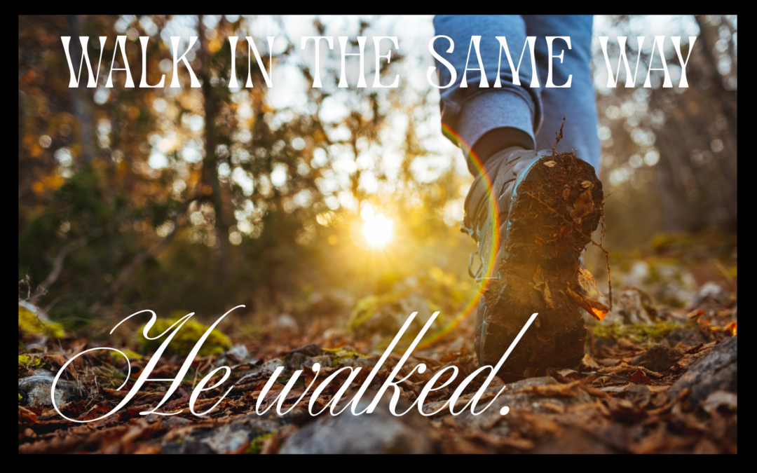 WALK IN THE SAME WAY